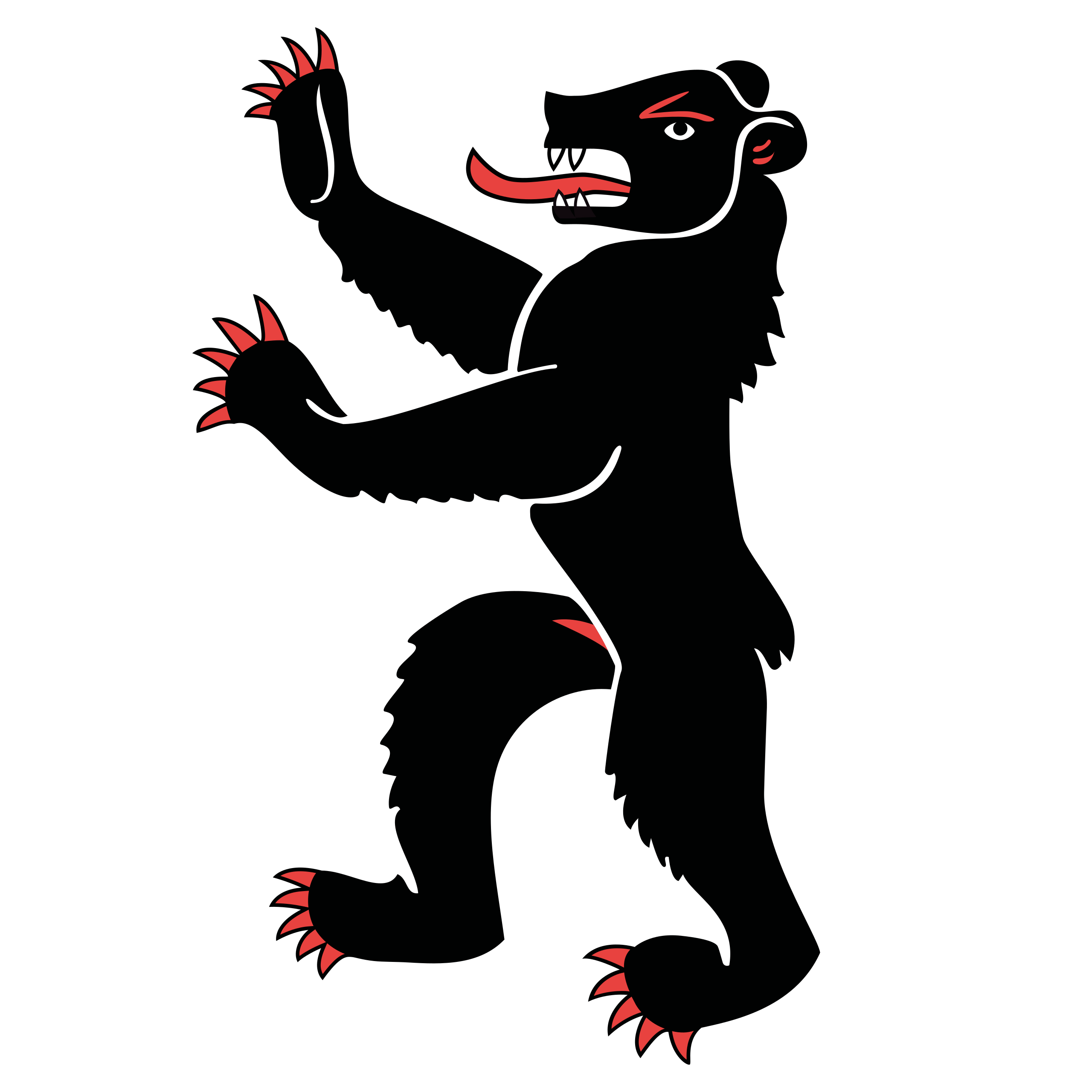 Bandera Cantón